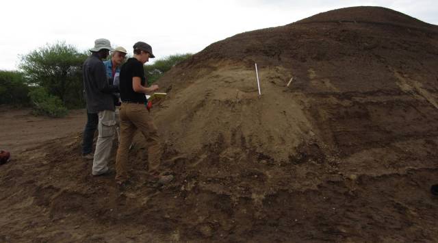 Ethiopian Rift fossils