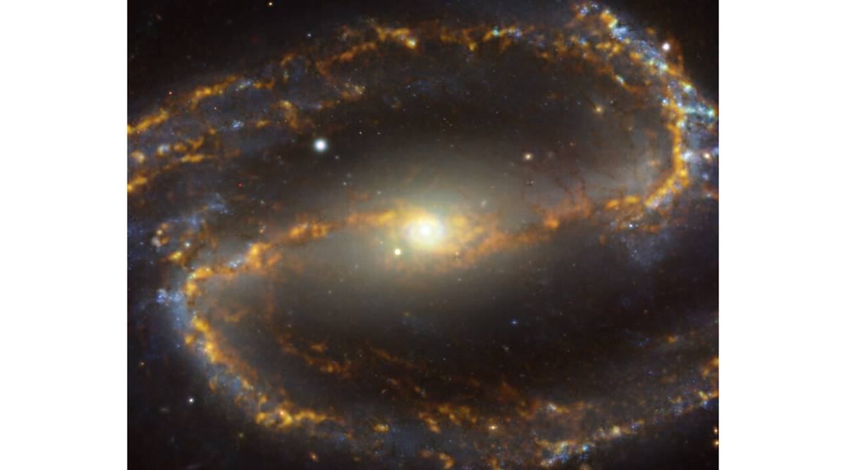 “Cosmic Caramel Vortex”: ESO publica nueva imagen de la galaxia NGC 1300