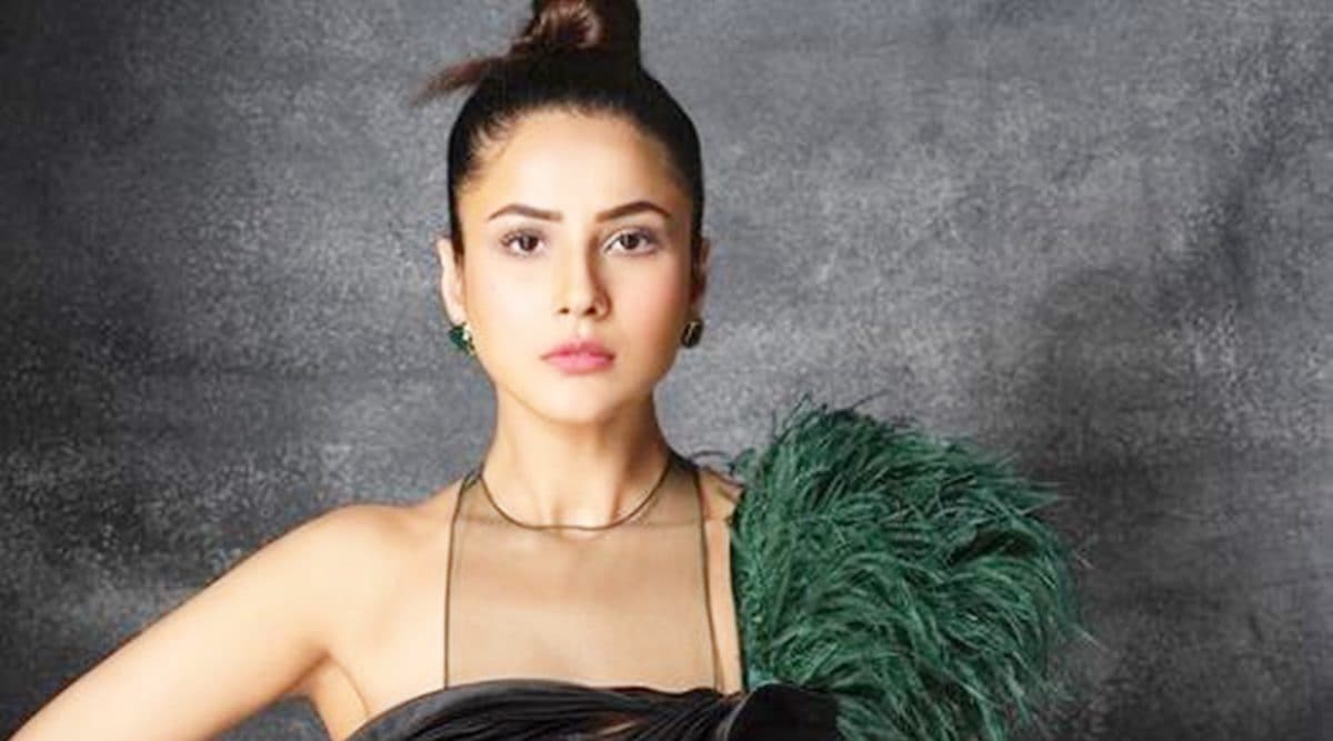 Shehnaaz Gill looks glam in new photos from Dabboo Ratnani shoot, fans ...