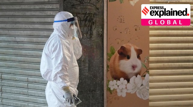 A staffer from the Agriculture, Fisheries and Conservation Department walks past a pet shop which was closed after some pet hamsters were, authorities said, tested positive for the coronavirus in Hong Kong. (AP)