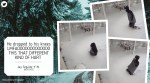 toronto snowstorm, canada blizzard, restaurant offer meal customer who walked in snow, man falls to knee seeing eatery closed, indian express