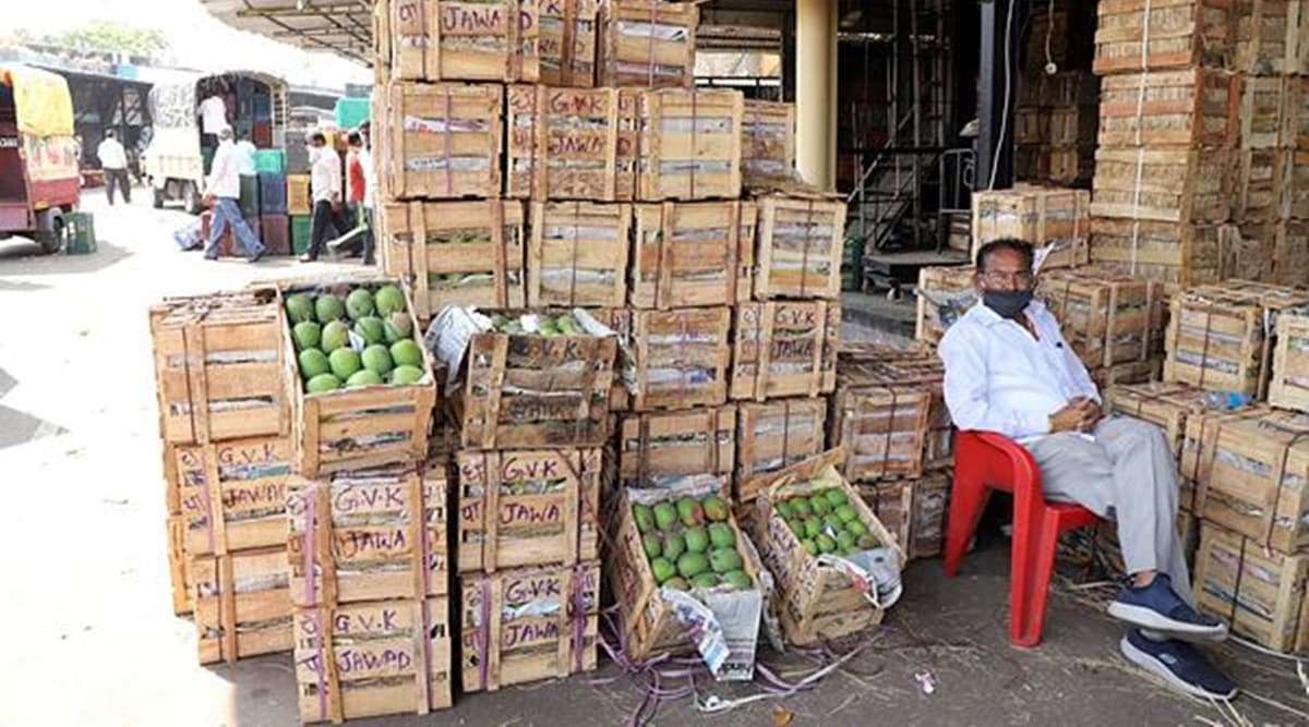 indian mangoes exported to US covid-19