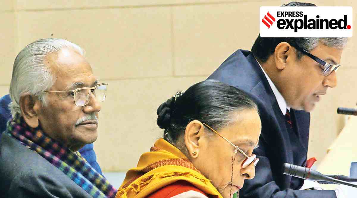 Delhi High Court, Delhi High Court news, marital rape, Indian Penal Code, IPC provision, marital rape immunity, Explained, Indian Express Explained, Opinion, Current Affairs