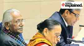 Delhi High Court, Delhi High Court news, marital rape, Indian Penal Code, IPC provision, marital rape immunity, Explained, Indian Express Explained, Opinion, Current Affairs