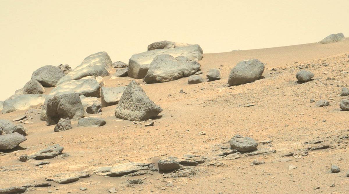 NASA's Mars Perseverance rover image