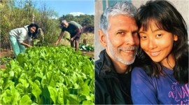 ankita konwar, milind soman
