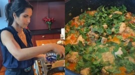 padma-lakshmi-instagram