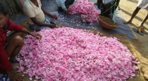 How Kannauj is preserving a long fragrant tradition