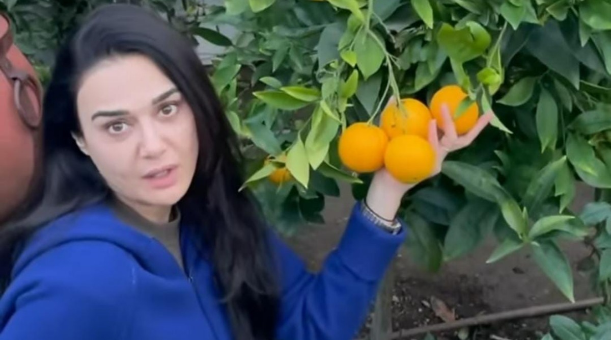 Preity Zinta gives fans a tour of her blooming and beautiful kitchen garden, watch video Bollywood News