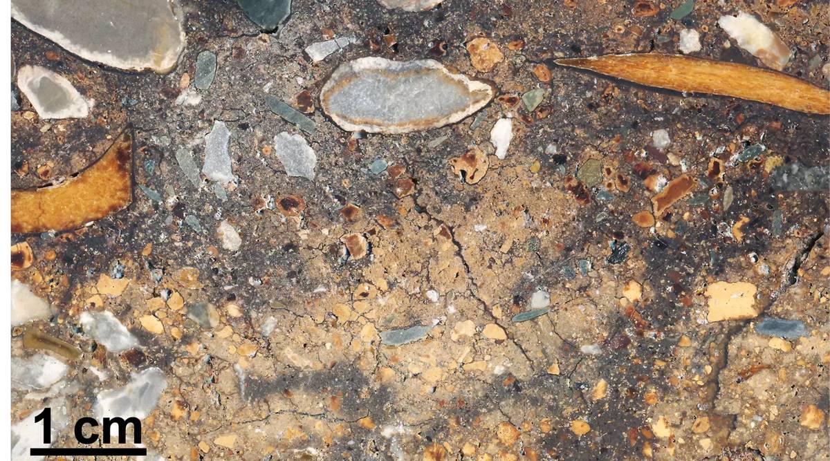 denisova cave sediment