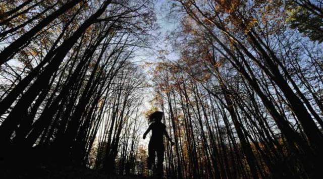 “It has been decided to incentivise the states through a star-rating system, based on efficiency and timelines in grant of EC (environmental clearance). This is intended as a mode of recognition and encouragement as well as for prompting improvements where needed,’’ the ministry said in an order issued on Monday.