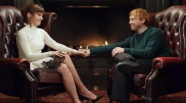 rupert grint presence at harry potter reunion