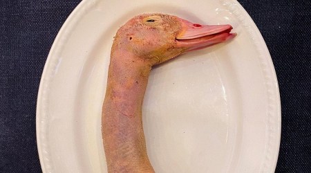 stuffed duck neck