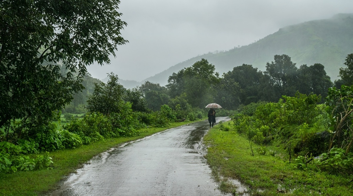 During the June to September monsoon season, the Western Ghats receive 14mm/day whereas the rest of the country receives only 7mm/day during these months.
(Representational image)