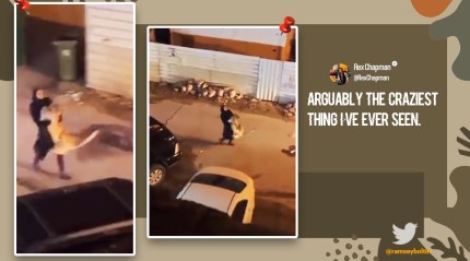 'You maybe the king of jungle but...': Woman seen carrying lion in arms, video leads to a joke galore