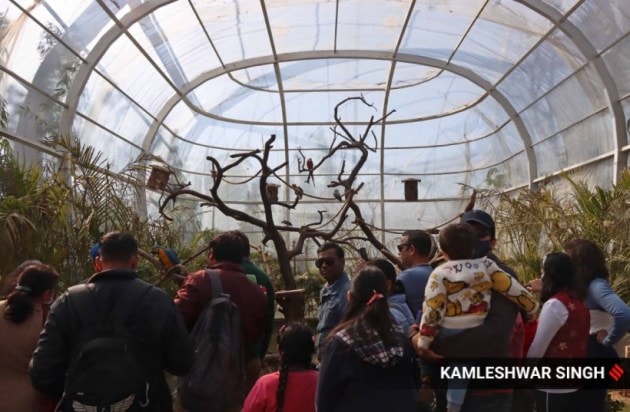 Chandigarh Bird Park