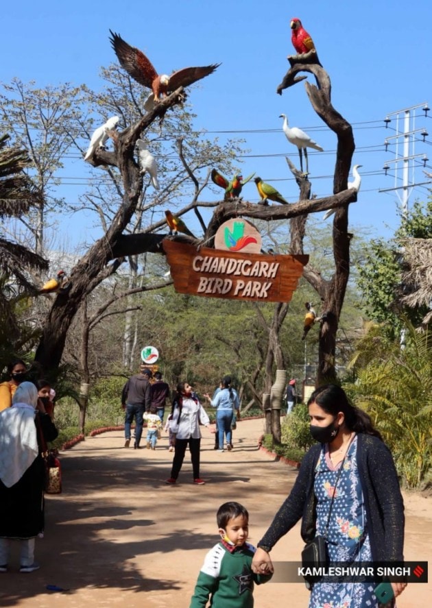Chandigarh Bird Park
