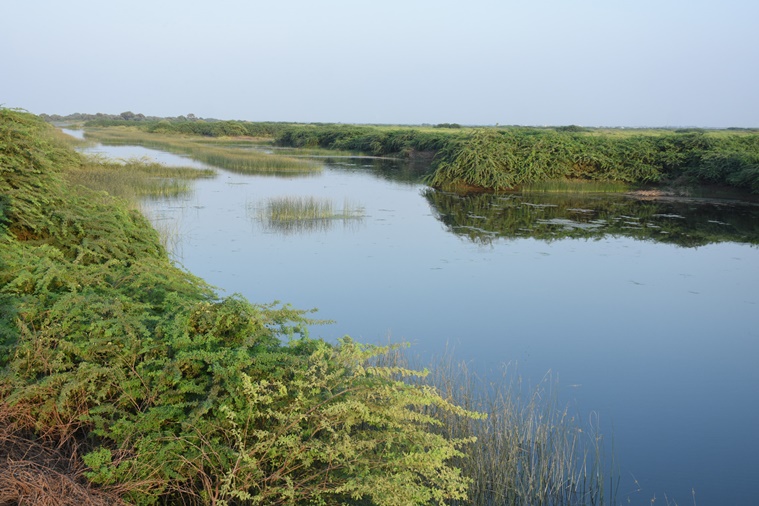 What are Ramsar Sites?