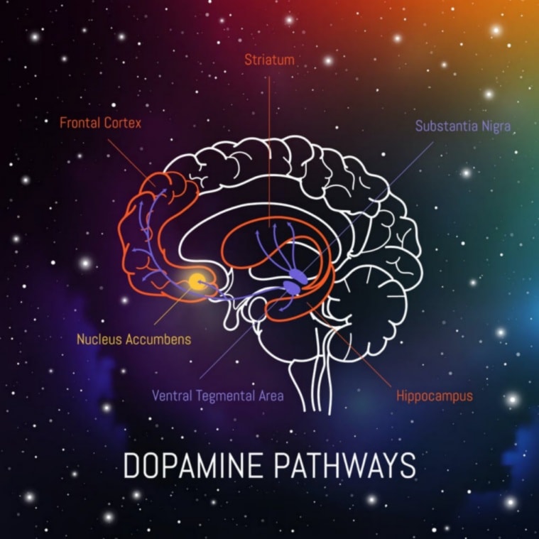 Gambling: What happens in the brain when we get hooked – and how to ...