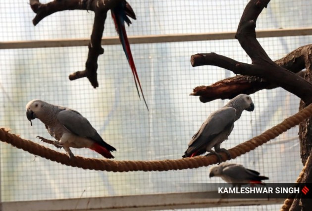 Chandigarh Bird Park