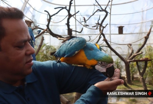 Chandigarh Bird Park