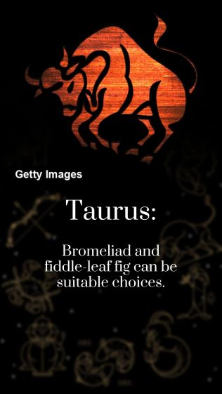 Budget 2022, Nirmala sitharaman, Budget 2022 full text, Sitharaman speech full text, Budget news, Indian express