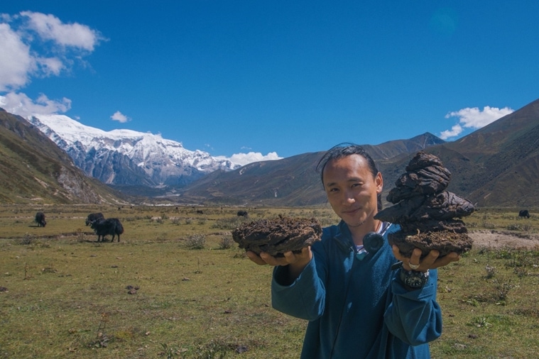 Pawo Choyning Dorji, lunana