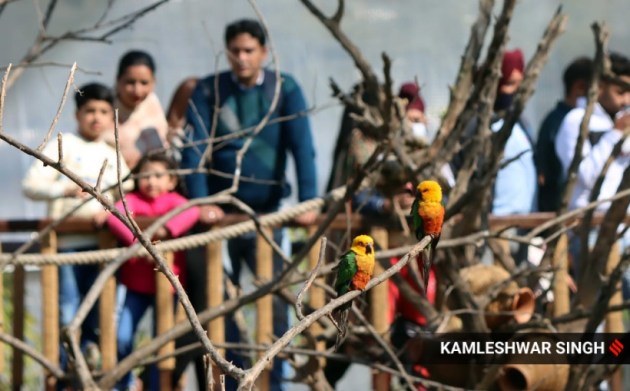Chandigarh Bird Park