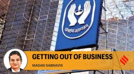 Business no alt set