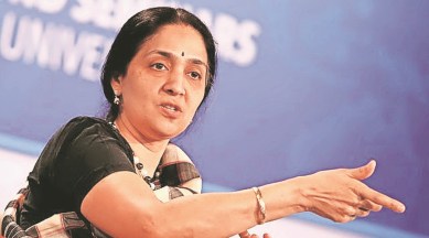 Chitra Ramkrishna, SEBI, Chitra Ramkrishna Himalayan yogi, sebi, Chitra Ramkrishna I-T raid, Indian Express news, Chitra Ramkrishna profile,