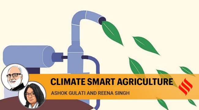 India has kept away from the recent EU-US pledge to slash methane emissions by 30 per cent by 2030, despite the country being the world’s third largest emitter of methane. (Illustration: C R Sasikumar)