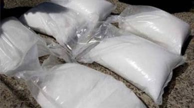 Mohali, Mohali drugs, Mohali drugs destroyed, Mohali news, Mohali drugs news, cocaine, heroin, charas, poppy husk, ganja, smack, doda, intoxicant injections, tablets, powder, cand apsules, drugs seizure, Punjab news, Chandigarh city news, Chandigarh, India news, Indian Express News Service, Express News Service, Express News, Indian Express India News