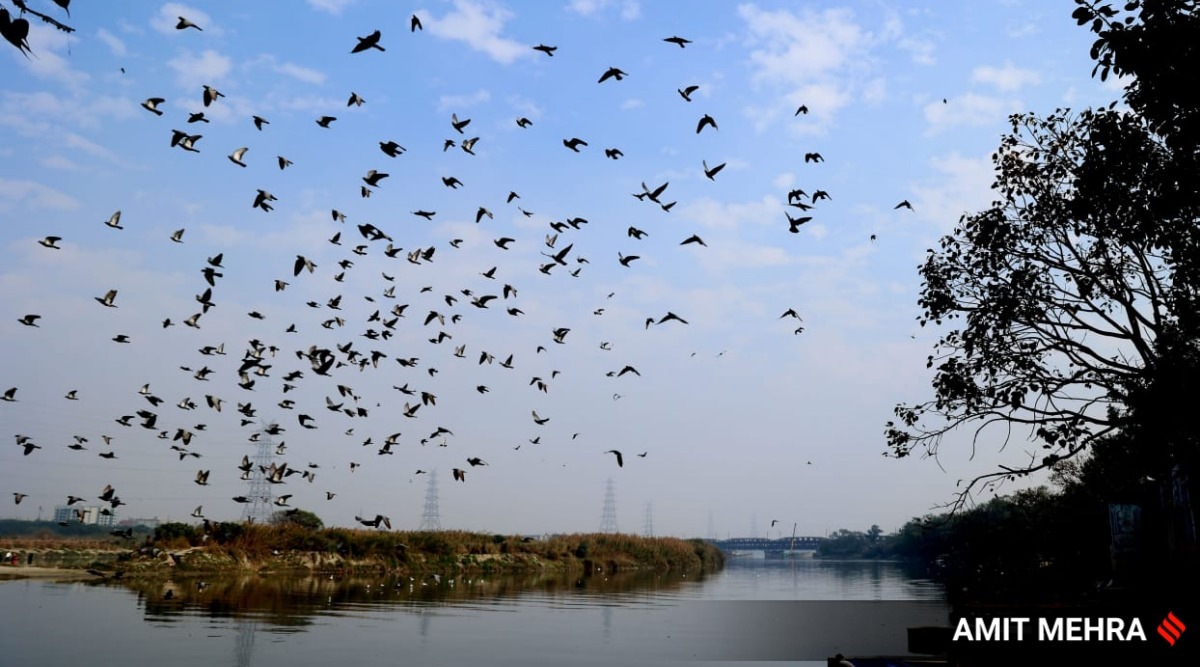 DelhiNCR Weather Today, Delhi Rain Today, Delhi Weather Forecast