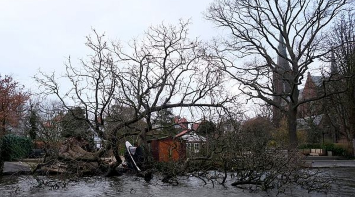 A boat hangs from a tree that was uprooted by storm Eunice in Voorburg, the Netherlands on Friday, Feb. 18, 2022. (AP)