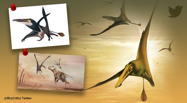 flying reptile, dinosaur, Jurassic period, fossil discovery, indian express