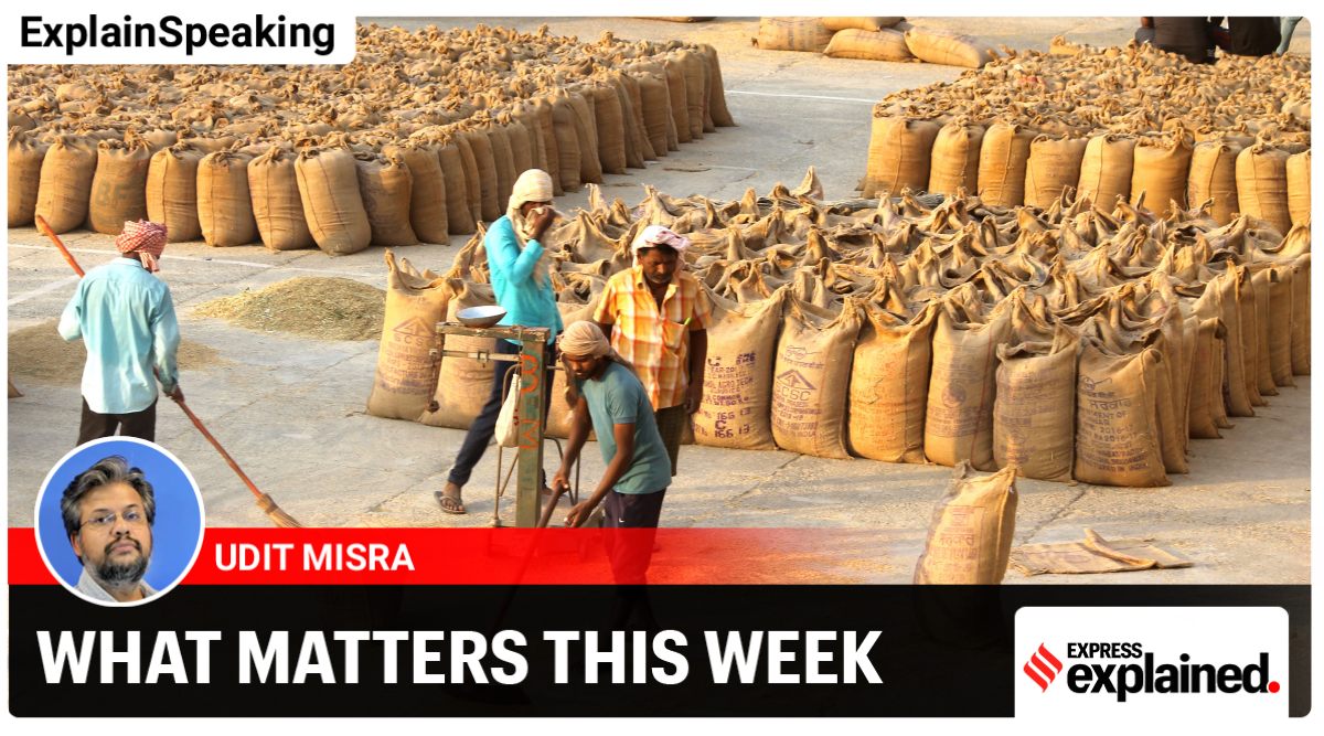 Workers fill sacks for transportation at a grain market in Patiala. (Express Photo: Harmeet Sodhi)
