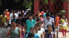 Hiring Freshers, hiring trends