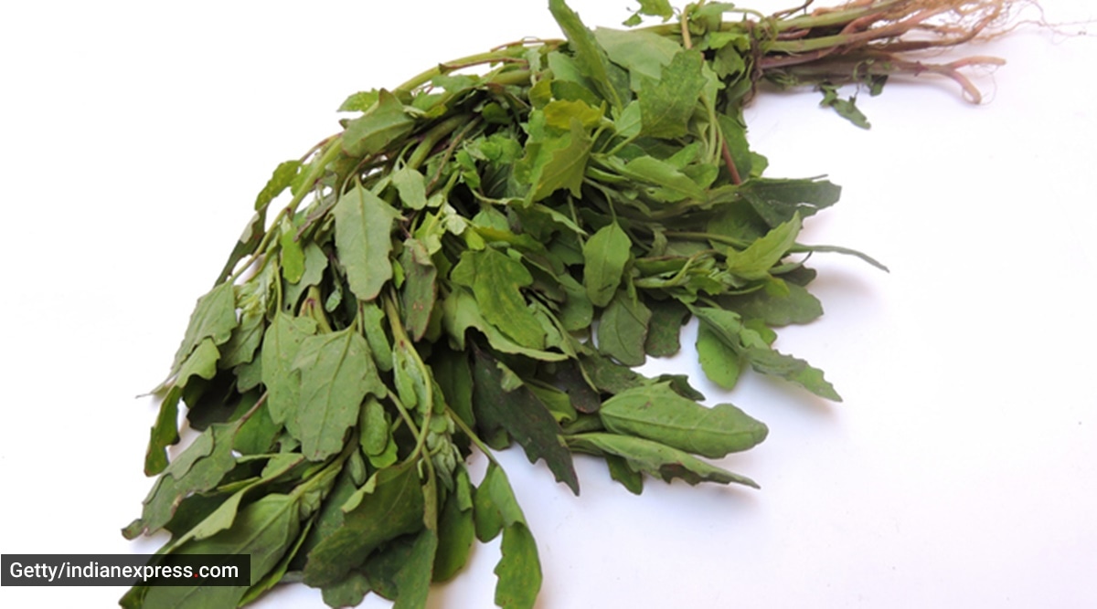 Healthy eating: What Ayurveda says about consuming bathua or goosefoot