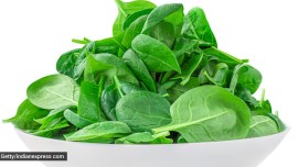 spinach, eating spinach every day, palak, spinach palak, should you eat palak every day, health benefits of spinach, health benefits of palak, indian express news