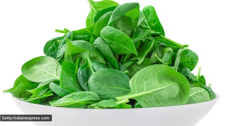 spinach, eating spinach every day, palak, spinach palak, should you eat palak every day, health benefits of spinach, health benefits of palak, indian express news