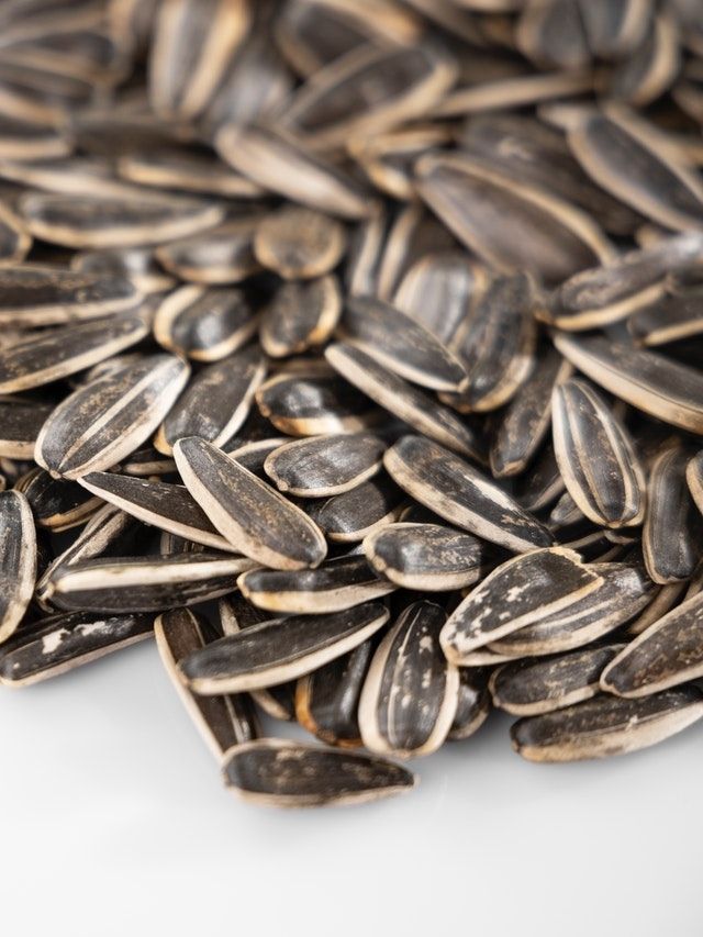 How you can make best use of sunflower seeds | The Indian Express