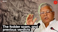 Explained: The fodder scam, and previous verdicts