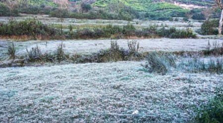 Kerala: News, Photos, Latest News Headlines about Kerala - The Indian