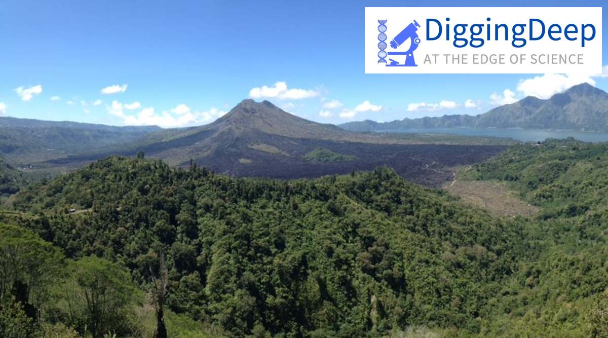 redd+, redd+ initiative, redd+ news, indonesia, indonesia norway, norway, norway news, indonesia news,