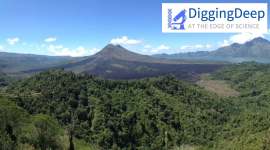 redd+, redd+ initiative, redd+ news, indonesia, indonesia norway, norway, norway news, indonesia news,