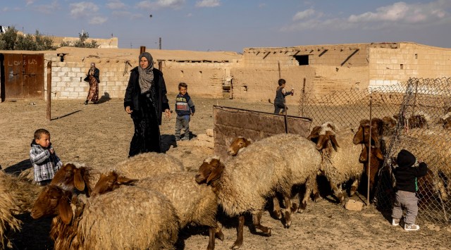 Hassan al-Harwa's farm, where a prolonged drought has left little water for his family and his sheep, in Al Shaddadi, Syria. (Ivor Prickett/The New York Times)