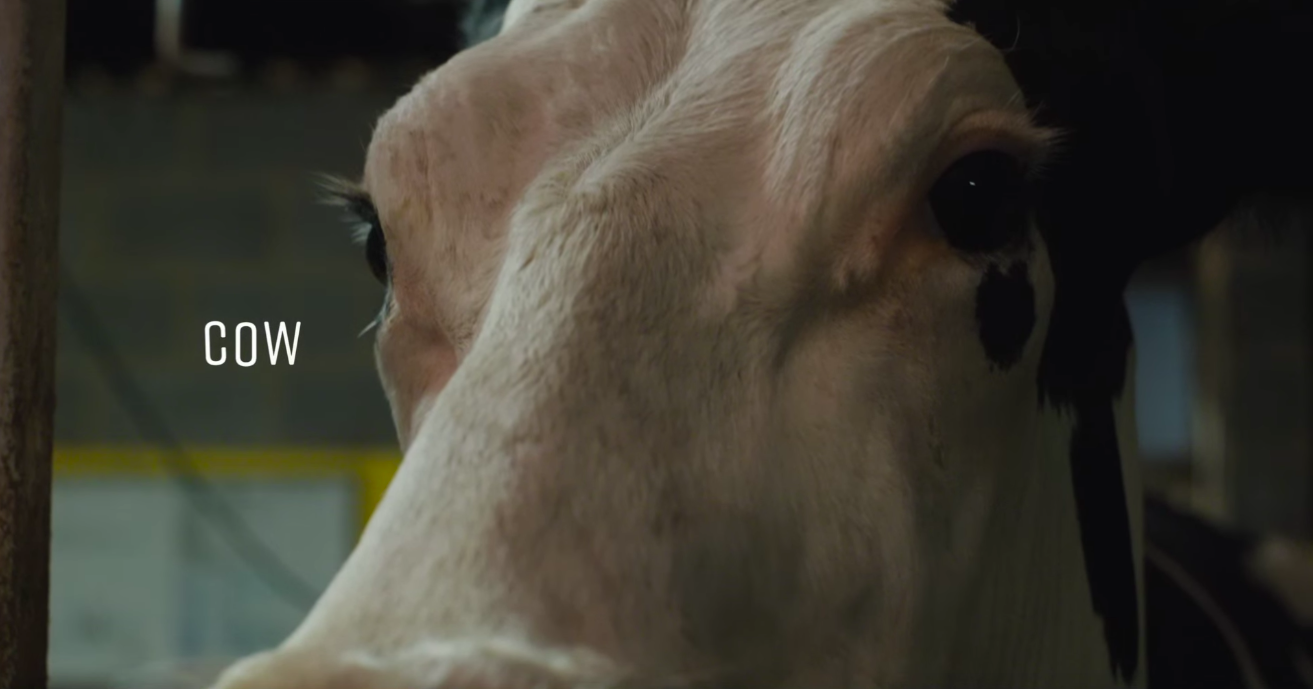 The 8 most underrated films of February, and where to watch them; plus