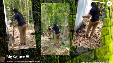 snake rescue, woman catches snake, snake video, forest officer, Kattakada, Thiruvananthapuram, indian express