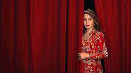 sri rao on madhuri dixit the fame game