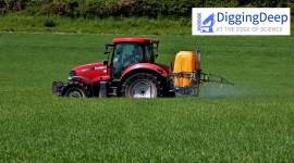 Insecticide resistance, Genetic engineering, Gene splicing, What is Insecticide resistance